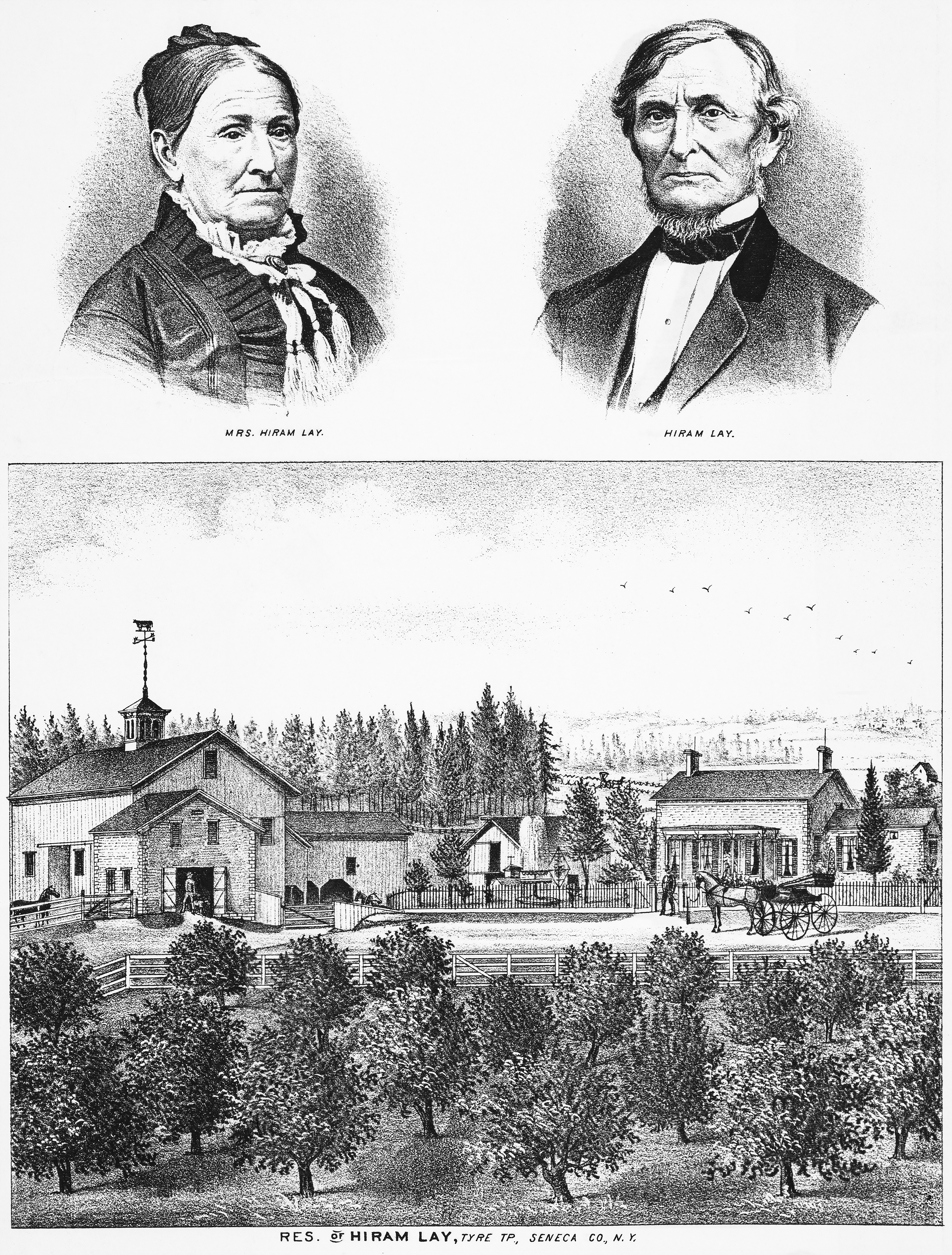 Tyr-4 Rogers Sen-13 1, 1876